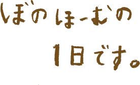 ぼのほーむの1日です。